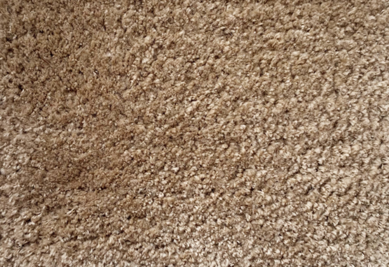 Caro Limited Colours