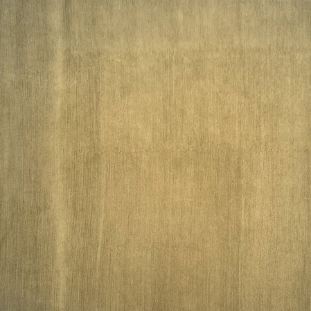 Opera Lines 10mm - C13 Green - 310x370