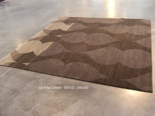 Raja Wool - ORIENTAL - 525/722 design - 250x250cm