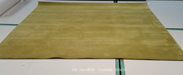 Caro MEDIO - T7 - 250x250cm