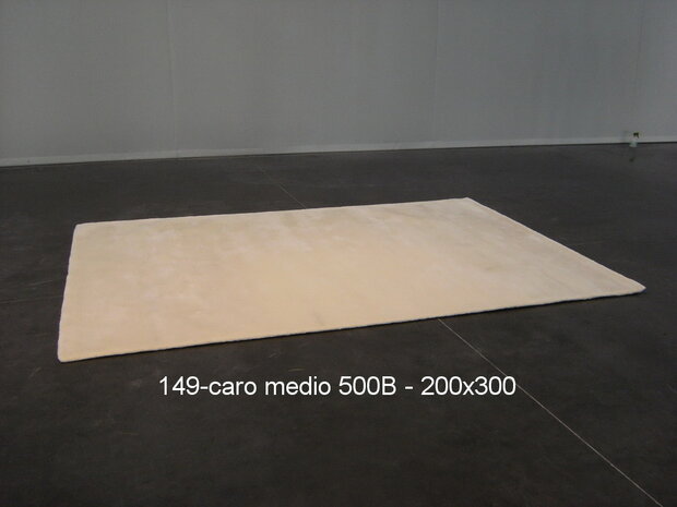 Caro - 500B - 200x300cm