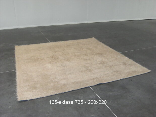 Extase - 735 - 220x220cm