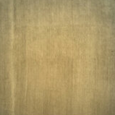 Opera Lines 10mm - C13 Green - 310x370