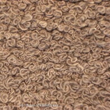 spira - SP2 - 300x475cm