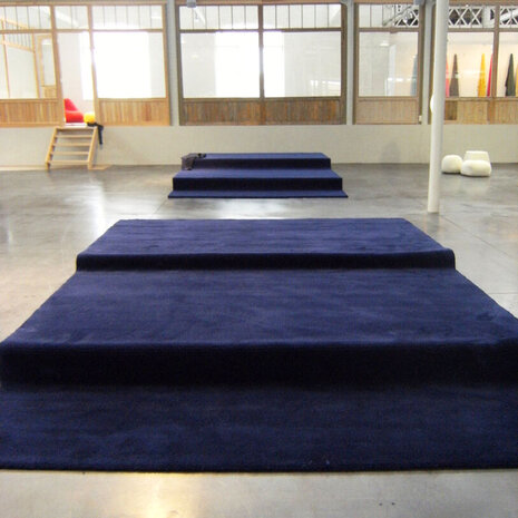 Caro Alto - C15 - 300x400cm