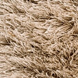 custom carpet - Champagne - coffee