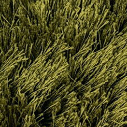 custom carpet - Galaxy  - Moss