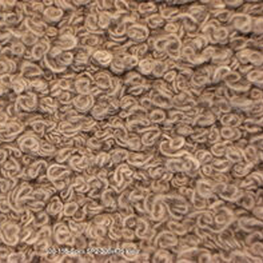 spira - SP2 - 300x475cm